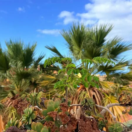 Sunset Ocean View With Patio B By-tenerife365 * Costa Adeje (Tenerife)