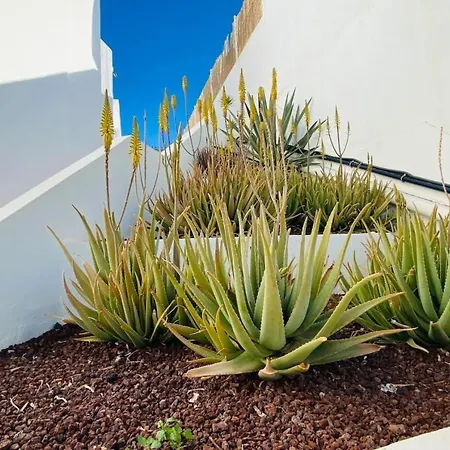 度假居 Tenerife.365 Atalaya Court Ii Sunset Ocean View 阿德耶
