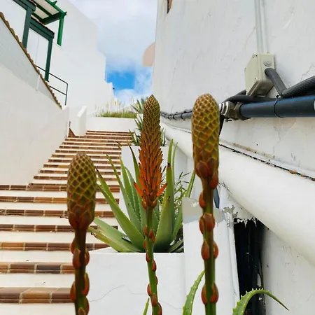 Сasa de vacaciones Tenerife.365 Atalaya Court Ii Sunset Ocean View *