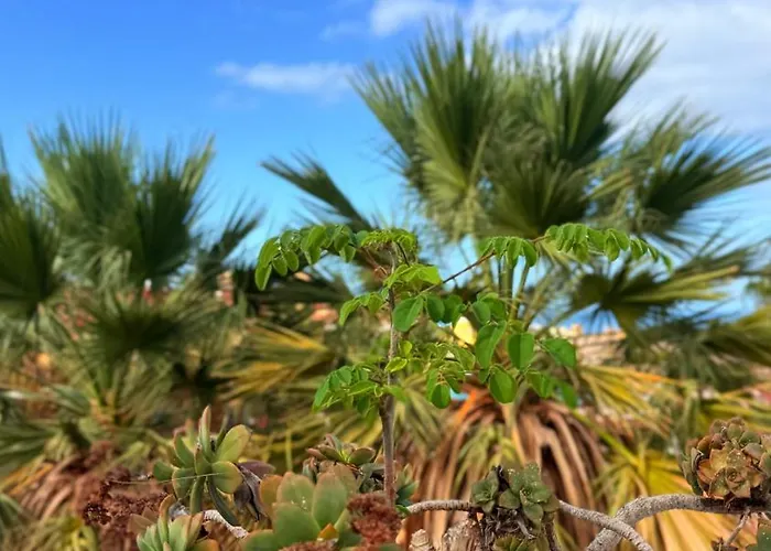 Sunset Ocean View With Patio B By-tenerife365 * Адехе